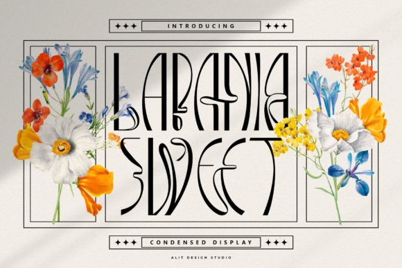 Lapania Sweet: A Typeface Where Modern Sans Serif Meets Bohemian Grace